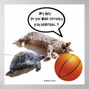 CAT ,TURTLE  AND BASKETBALL POSTER