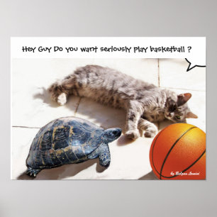 CAT ,TURTLE  AND BASKETBALL POSTER