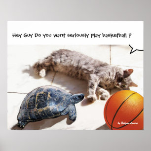 CAT ,TURTLE AND BASKETBALL POSTER