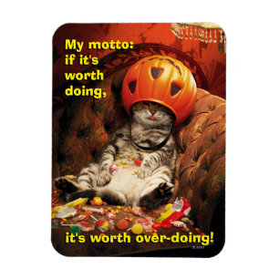 Cat Under Candy Bucket Magnet