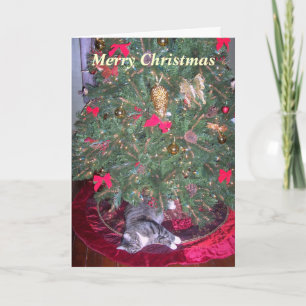 Cat Underneath The Tree Christmas Card