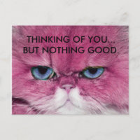 CAT UNFRIENDLY NO FRIENDS FUNNY PINK CAT EYE STARE