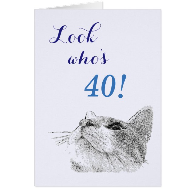 Cat Up - collector card (Front)