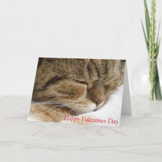 Cat valentines day card
