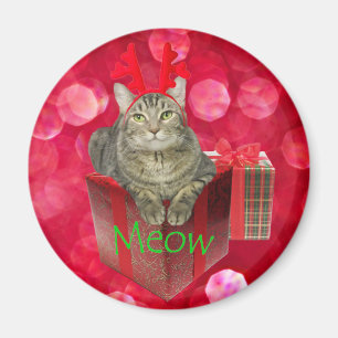 Cat Waiting for Santa Magnet