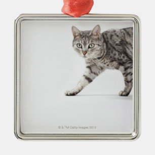 Cat walking metal ornament