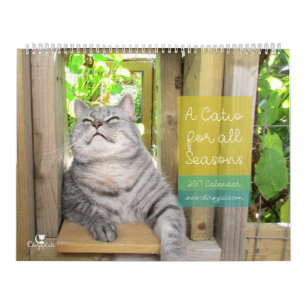 Cat Wall Calendar 2017
