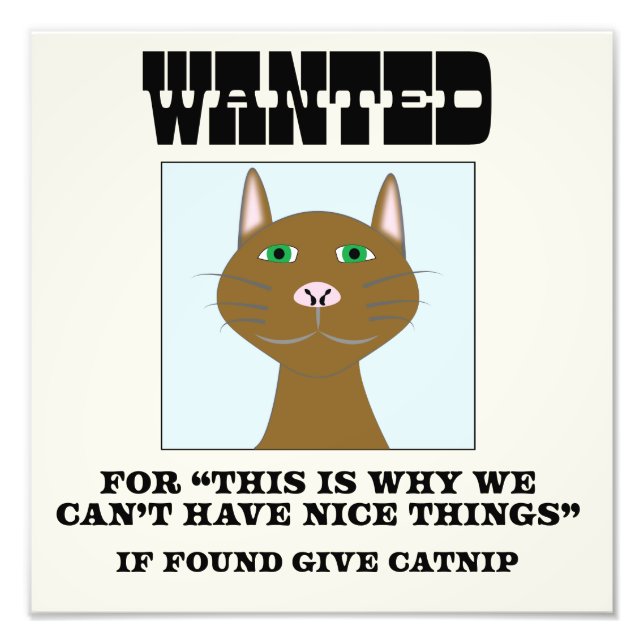 Cat Wanted Poster print (Front)