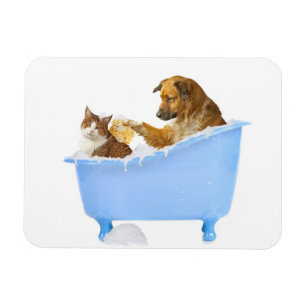Cat Wash Magnet