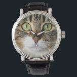cat watch<br><div class="desc">cat Watch</div>