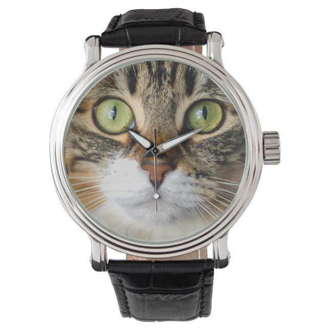 cat watch (Front)