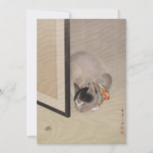 Cat Watching a Spider Oide Tōkō