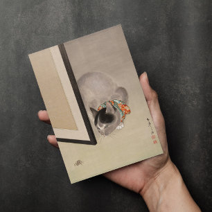 Cat Watching a Spider   Oide Tōkō Card