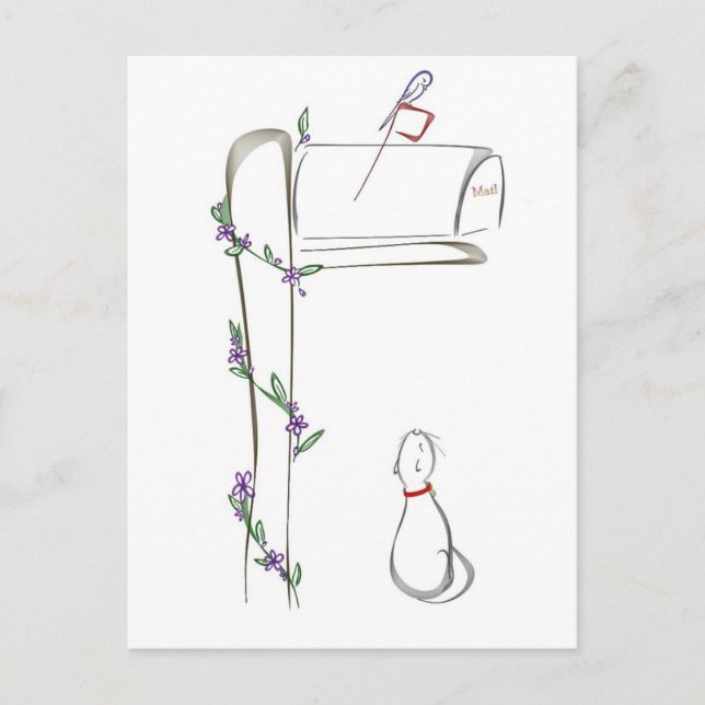 Cat Watching Bird on a Mailbox Postcard (Front)