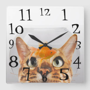 Cat Watching Goldfish in a Fish Bowl Square Wall Clock