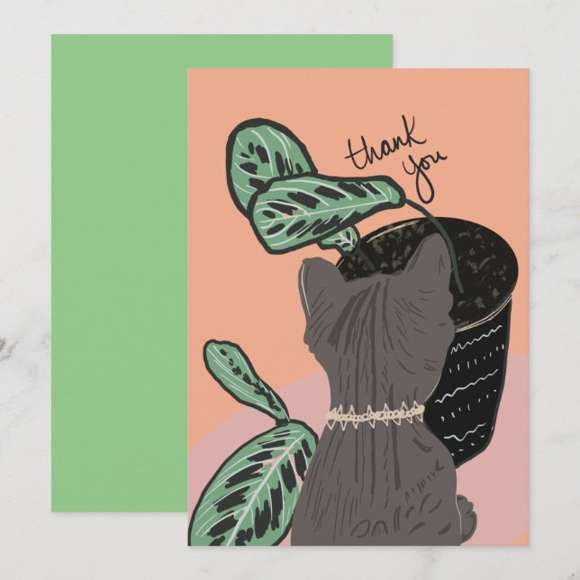 Cat Watching Plants Thank You Postcard (Front/Back)