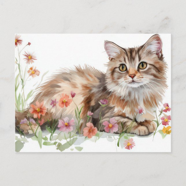 Cat Watercolor Postcard  (Front)