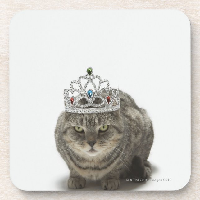 Cat wearing a tiara coaster (Front)