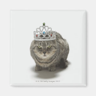 Cat wearing a tiara magnet