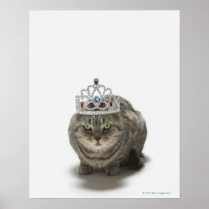 Cat wearing a tiara poster