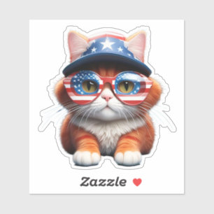 Cat Wearing American Glasses And Hat-78987
