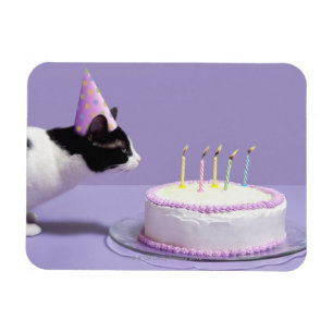 Cat wearing birthday hat blowing out candles magnet