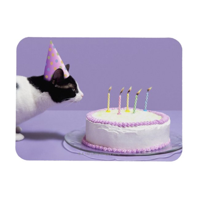 Cat wearing birthday hat blowing out candles magnet (Horizontal)