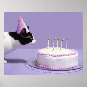 Cat wearing birthday hat blowing out candles poster