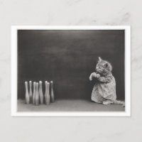 Cat Wearing Clothes and Bowling Vintage Oddity