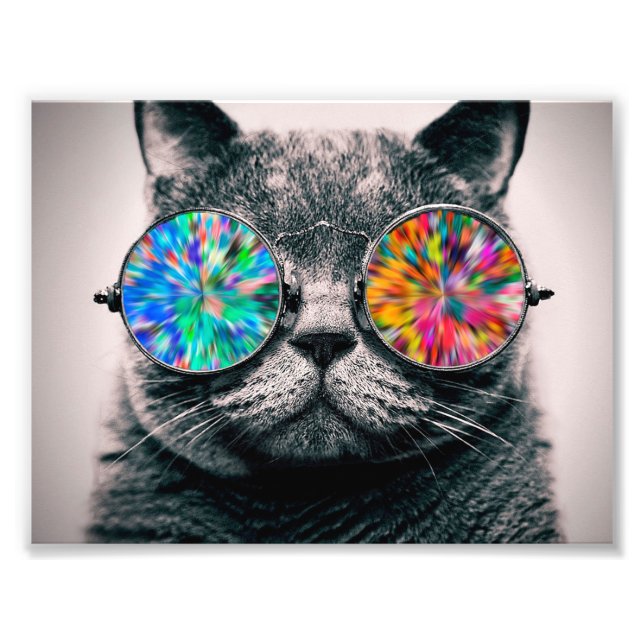 Cat wearing coloured glasses photo print (Front)