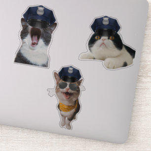Cat Wearing Cop's Hat