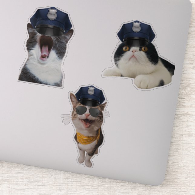 Cat Wearing Cop's Hat (Detail)