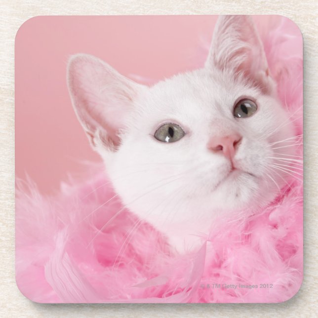 Cat wearing feather boa coaster (Front)
