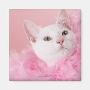Cat wearing feather boa magnet