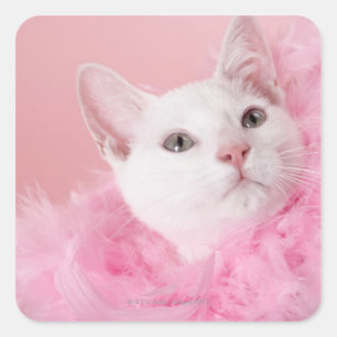 Cat wearing feather boa square sticker