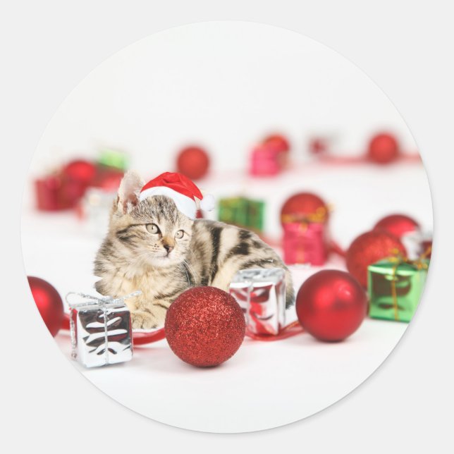 Cat wearing red Santa hat Christmas Ornament Classic Round Sticker (Front)
