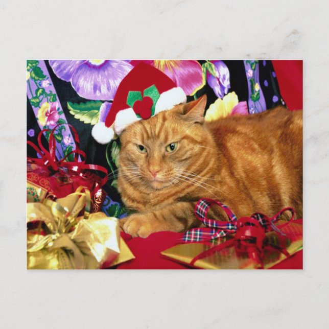 Cat Wearing Santa Claus Hat - Postcard (Front)