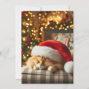 Cat wearing Santa Claus hat sleeping on chair Holiday Card