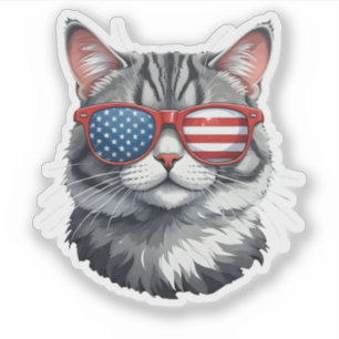 Cat Wearing Sunglasses American Flag 4th of July C