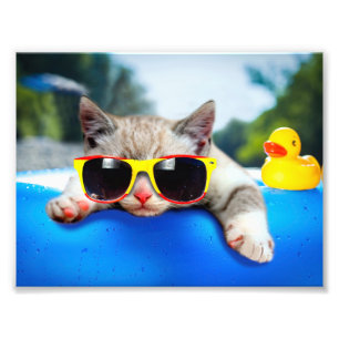 Cat wearing sunglasses relaxing on air mattress photo print
