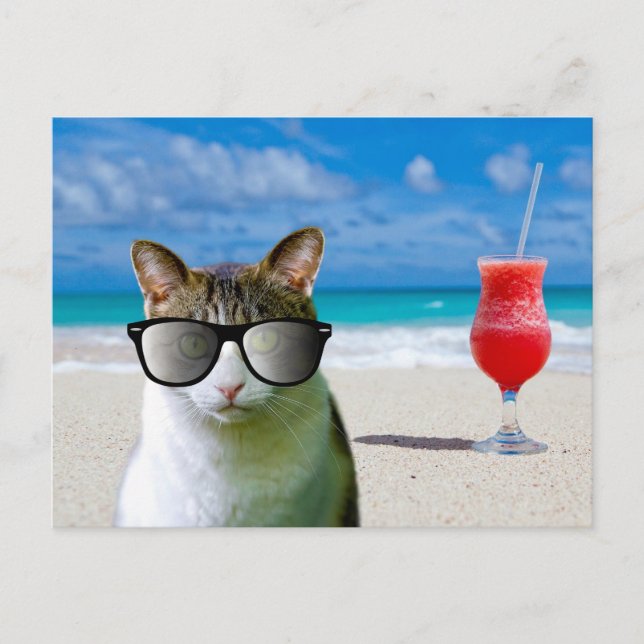 CAT WEARING SUNLASSES ON THE BEACH POSTCARDS (Front)