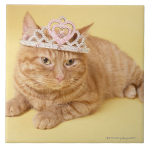 Cat wearing tiara tile