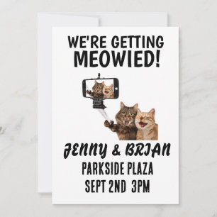 CAT WEDDING CUSTOM INVITATIONS