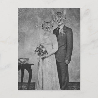 Cat wedding postcard
