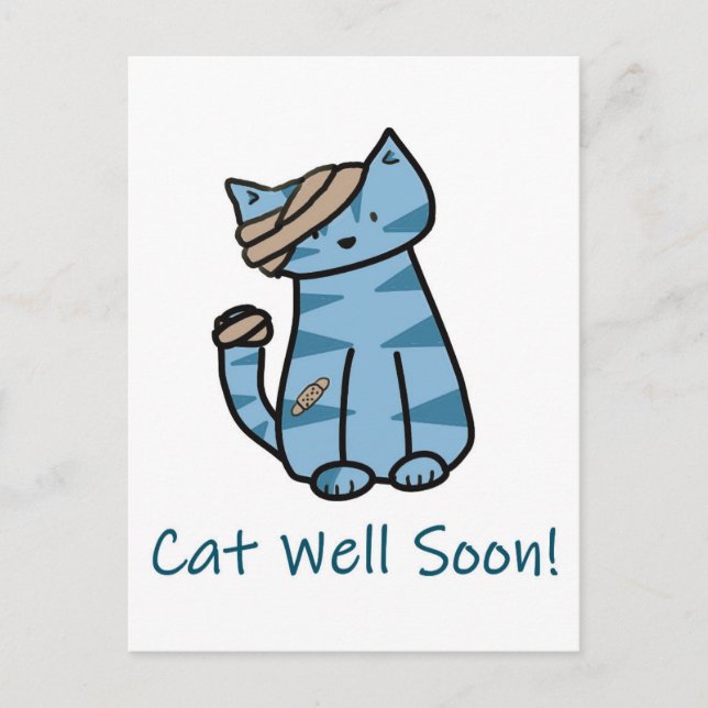 Cat Well Soon postcard Postcrossing get well soon (Front)