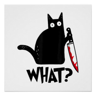 Cat What_ Funny Black Cat Poster