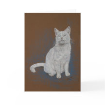 cat, white, Happy Birthday, fine art