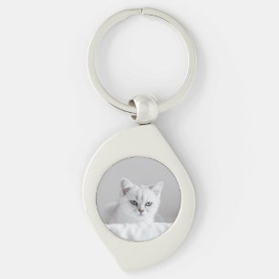 Cat, White, Kitten Key Ring