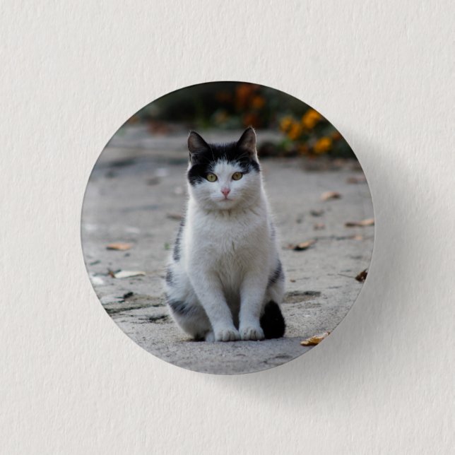 Cat, White, Pet 3 Cm Round Badge (Front)