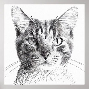 Cat Wild Nature Animal Illustration Art Drawing Poster